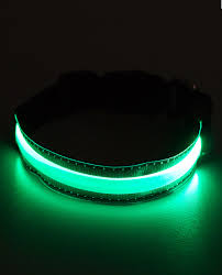 Glove In The Dark Collar- Keep Your Pet Safe And Seen After Dark