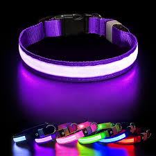 Glove In The Dark Collar- Keep Your Pet Safe And Seen After Dark